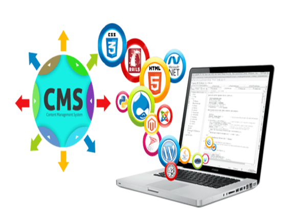 Content Management System Development Company in Pudukkottai and Trichy