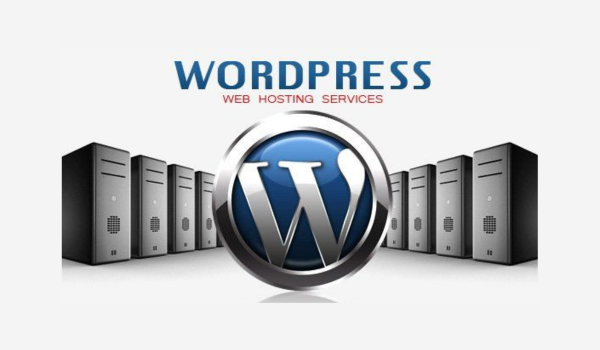 WordPress Hosting Company in Pudukkottai and Trichy