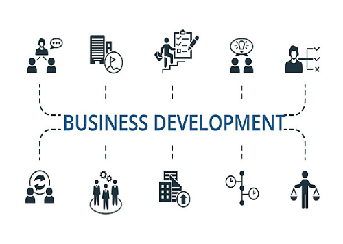 Business Websites
