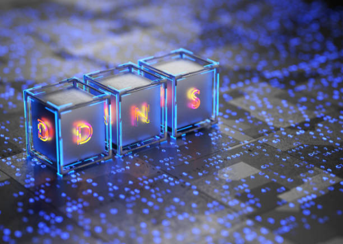 DNS Management