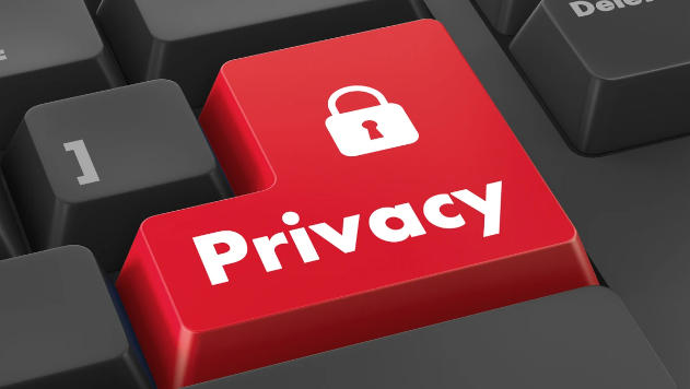 Domain Privacy Protection