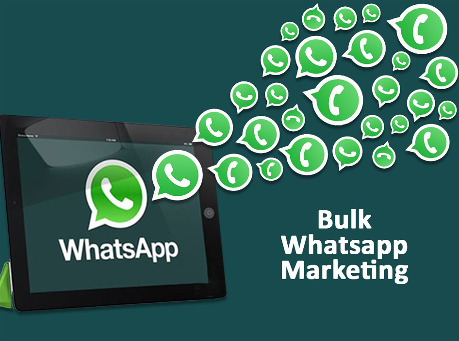 Professional Bulk WhatsApp SMS Services