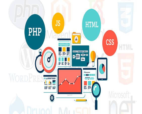 Dynamic Website Design in Pudukkottai and Trichy
