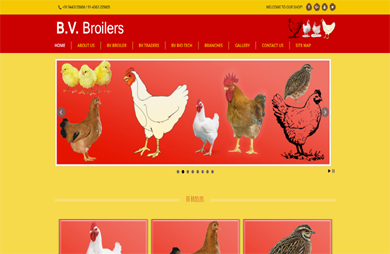 bv-broilers